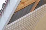 rated Woodspring Priory soffit repair companies